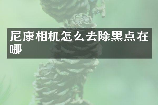 尼康相机怎么去除黑点在哪