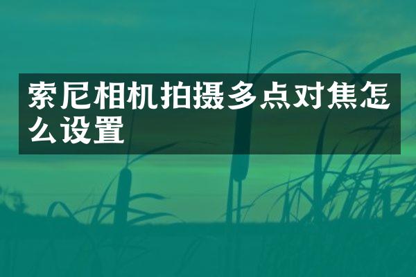 相机拍摄多点对焦怎么设置