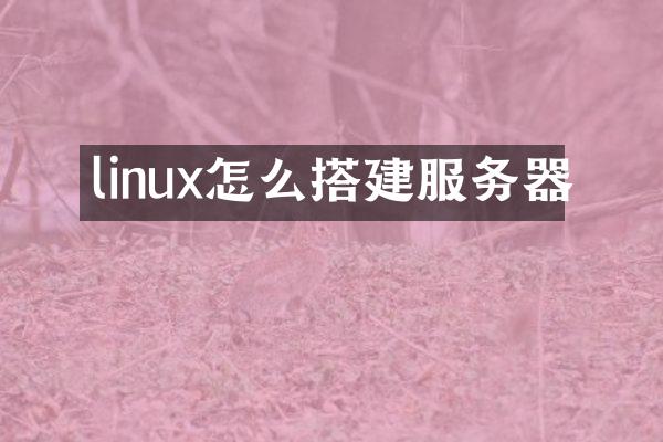 linux怎么搭建服务器