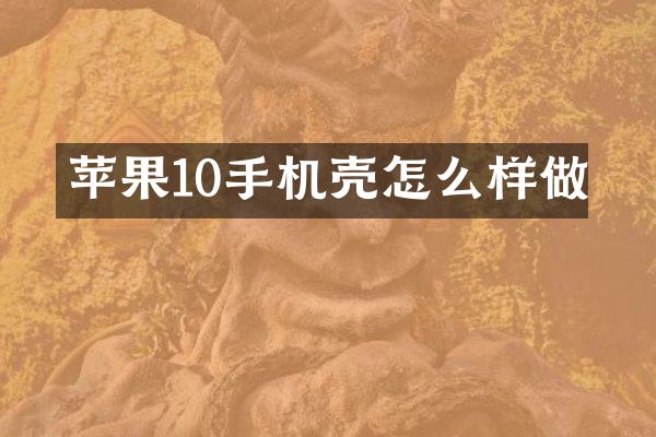 苹果10手机壳怎么样做