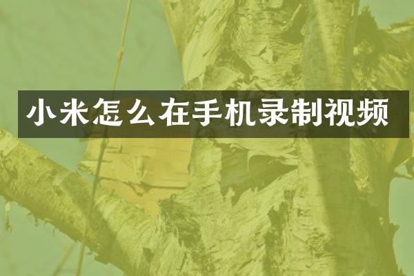 小米怎么在手机录制视频
