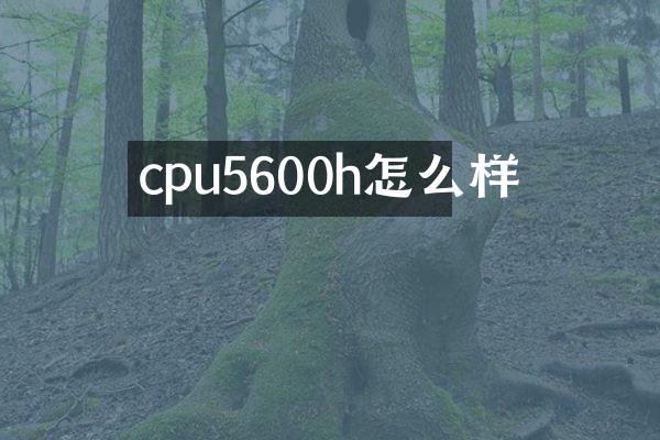 cpu5600h怎么样