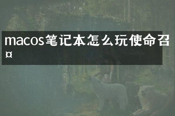 macos笔记本怎么玩使命召唤