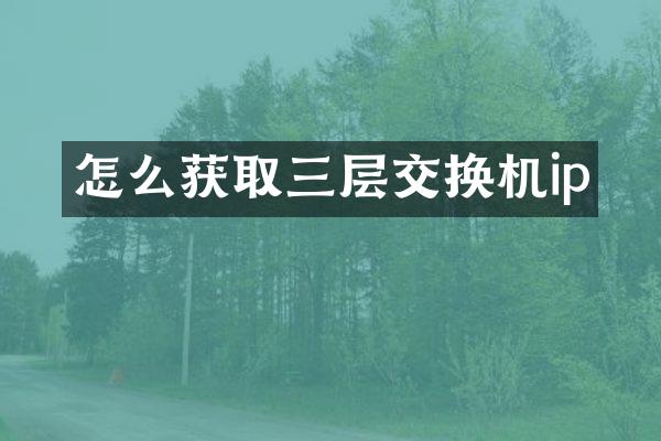 怎么获取三层交换机ip