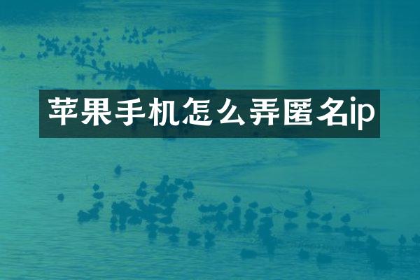 苹果手机怎么弄匿名ip