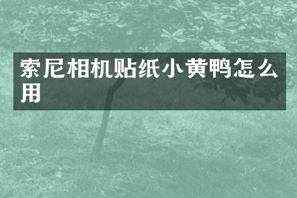 索尼相机贴纸小黄鸭怎么用