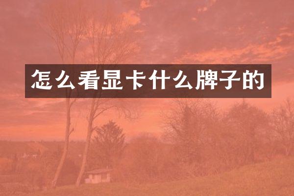 怎么看显卡什么牌子的