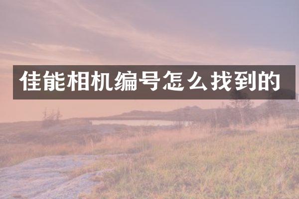 佳能相机编号怎么找到的