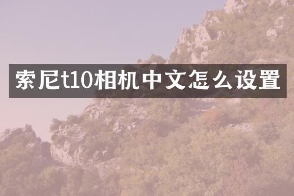 索尼t10相机中文怎么设置