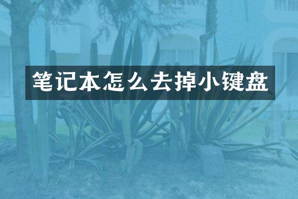 笔记本怎么去掉小键盘
