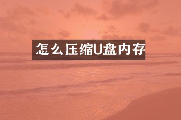 怎么压缩U盘内存