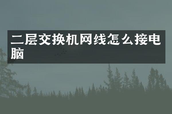 二层交换机网线怎么接电脑