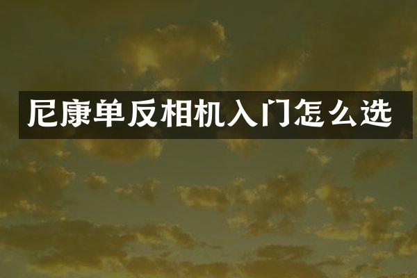 尼康单反相机入门怎么选