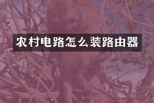 农村电路怎么装路由器