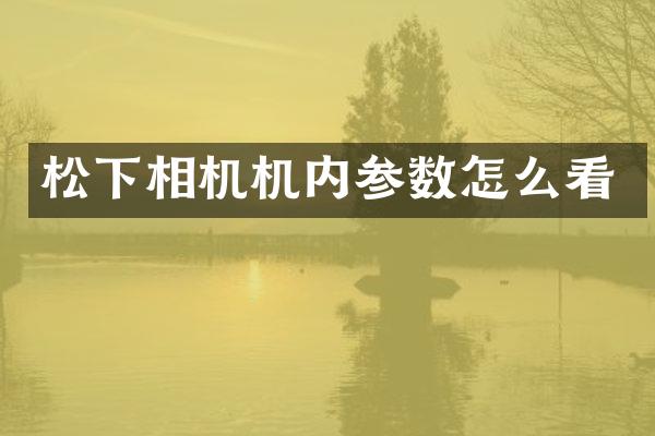 松下相机机内参数怎么看