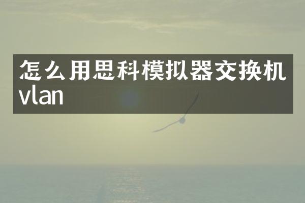 怎么用思科模拟器交换机vlan