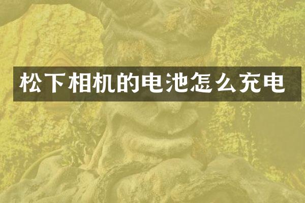 松下相机的电池怎么充电