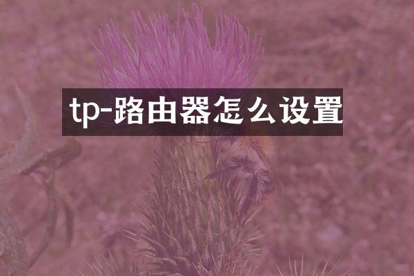 tp-路由器怎么设置