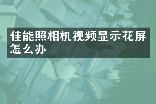 佳能照相机视频显示花屏怎么办