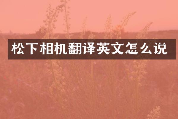 松下相机翻译英文怎么说