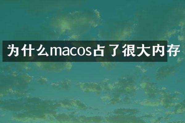 为什么macos占了很大内存