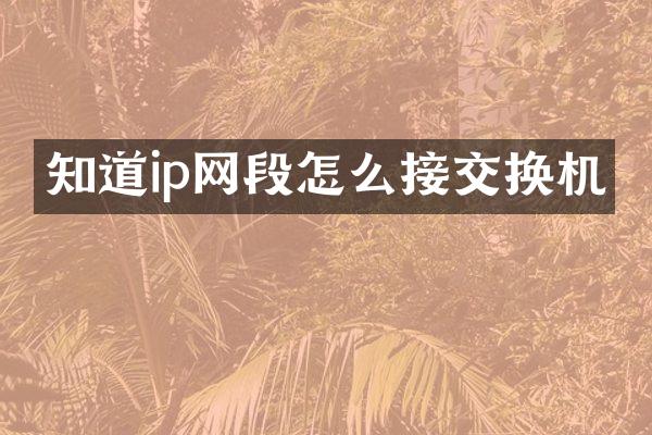 知道ip网段怎么接交换机