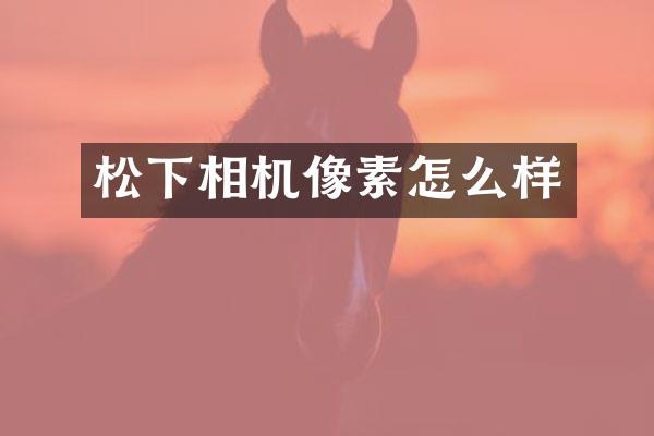 松下相机像素怎么样