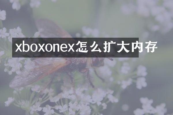 xboxonex怎么扩大内存