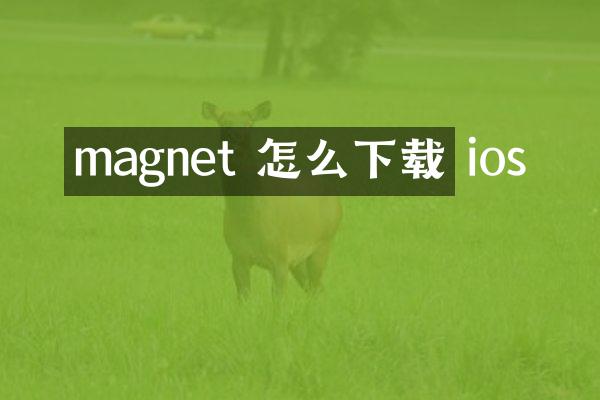 magnet 怎么下载 ios