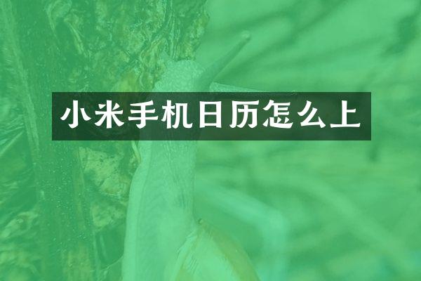 小米手机日历怎么上