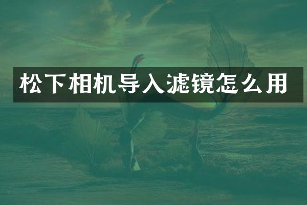 松下相机导入滤镜怎么用