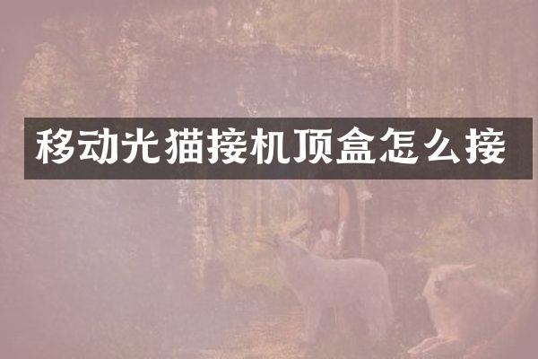 移动光猫接机顶盒怎么接