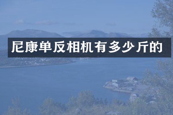 尼康单反相机有多少斤的