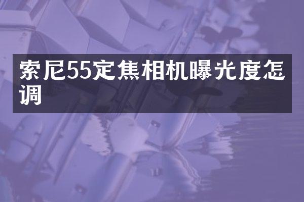 索尼55定焦相机曝光度怎么调