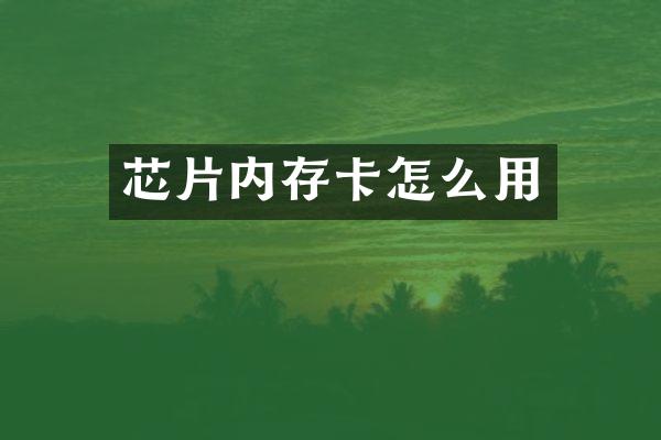 芯片内存卡怎么用