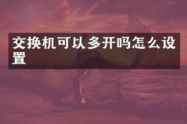 交换机可以多开吗怎么设置