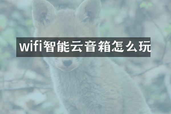 wifi智能云音箱怎么玩