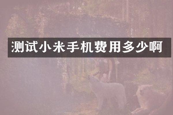 测试小米手机费用多少啊