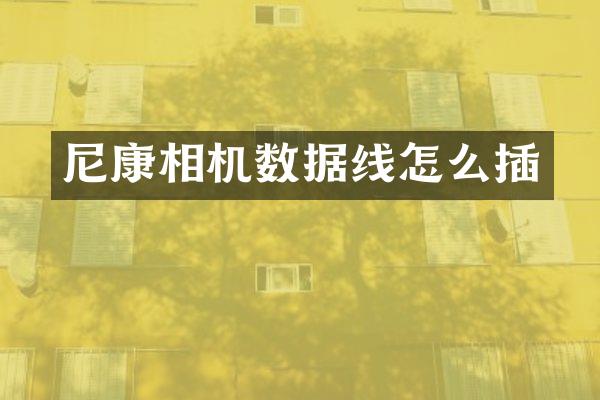 尼康相机数据线怎么插