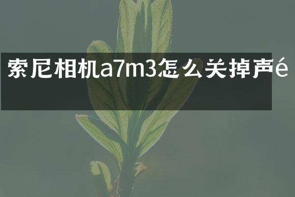 索尼相机a7m3怎么关掉声音