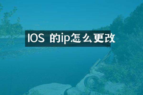 IOS 的ip怎么更改