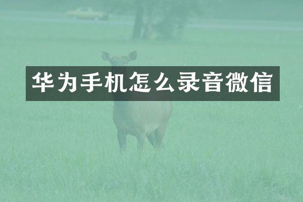 华为手机怎么录音微信