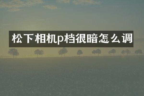 松下相机p档很暗怎么调