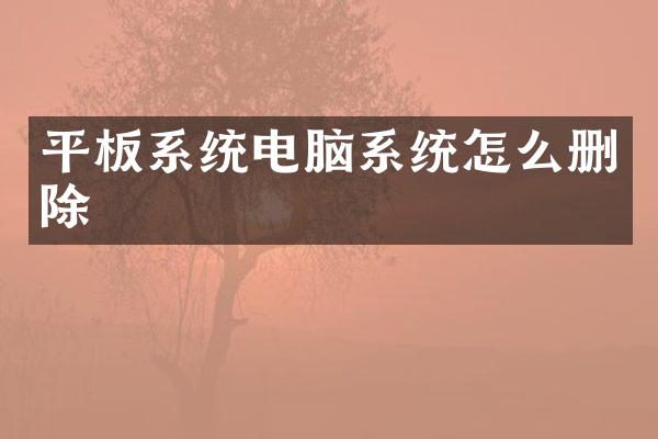 平板系统电脑系统怎么删除