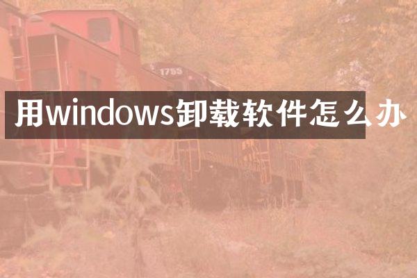 用windows卸载软件怎么办