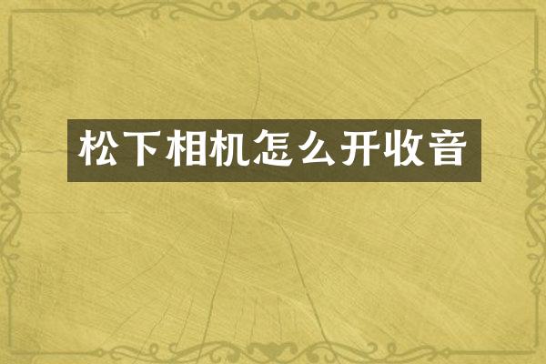 松下相机怎么开收音