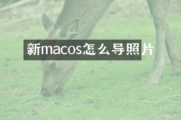 新macos怎么导照片