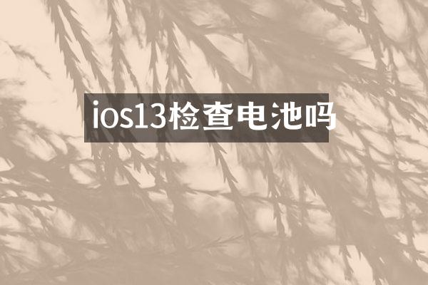 ios13检查电池吗