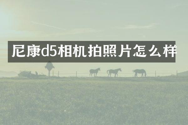 尼康d5相机拍照片怎么样