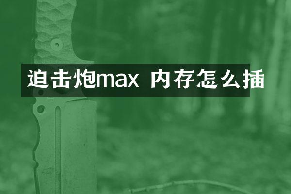 迫击炮max 内存怎么插